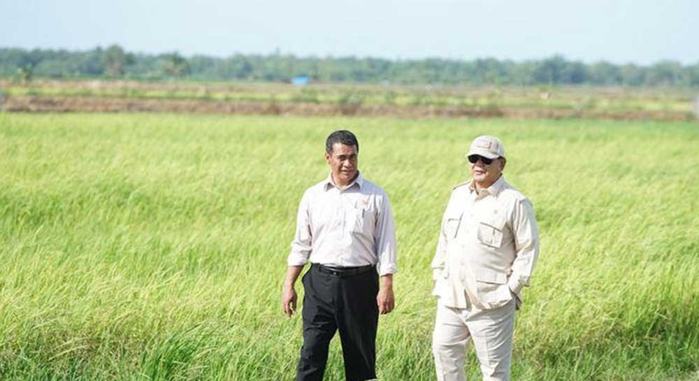 Program cetak sawah nasional di Kampung Wanam di Distrik Ilwayab, Kabupaten Merauke, Papua Selatan dikunjungi Presiden Prabowo Subianto