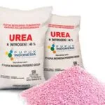 PUPUK UREA