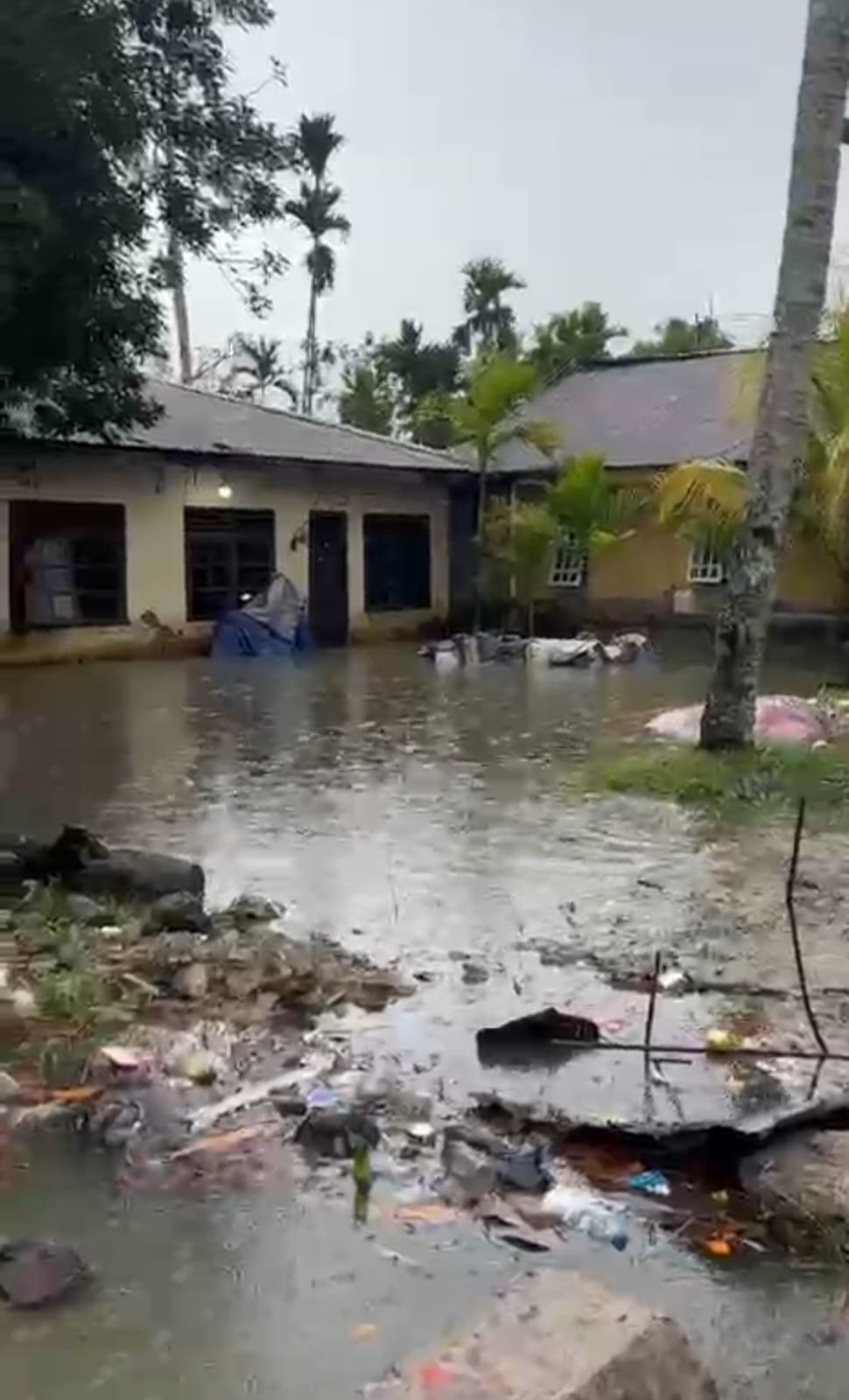 rumah warga kwamki baru