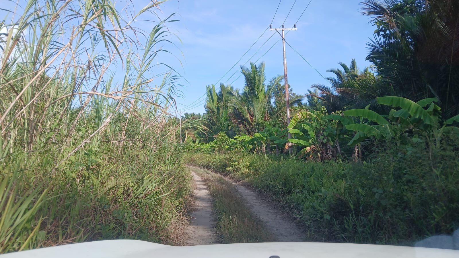 fac8c3ba 01ed 4905 beb7 5615a83e75e4