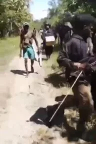 004254f1 535b 4d12 8713 4ed5df70792a