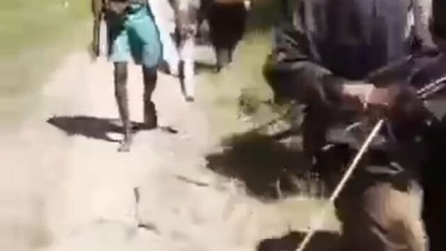 004254f1 535b 4d12 8713 4ed5df70792a