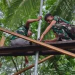bor sumum
