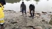 potongang tubuh Suryono